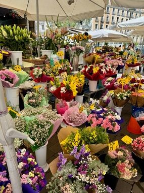 Meet your Posher, Annie